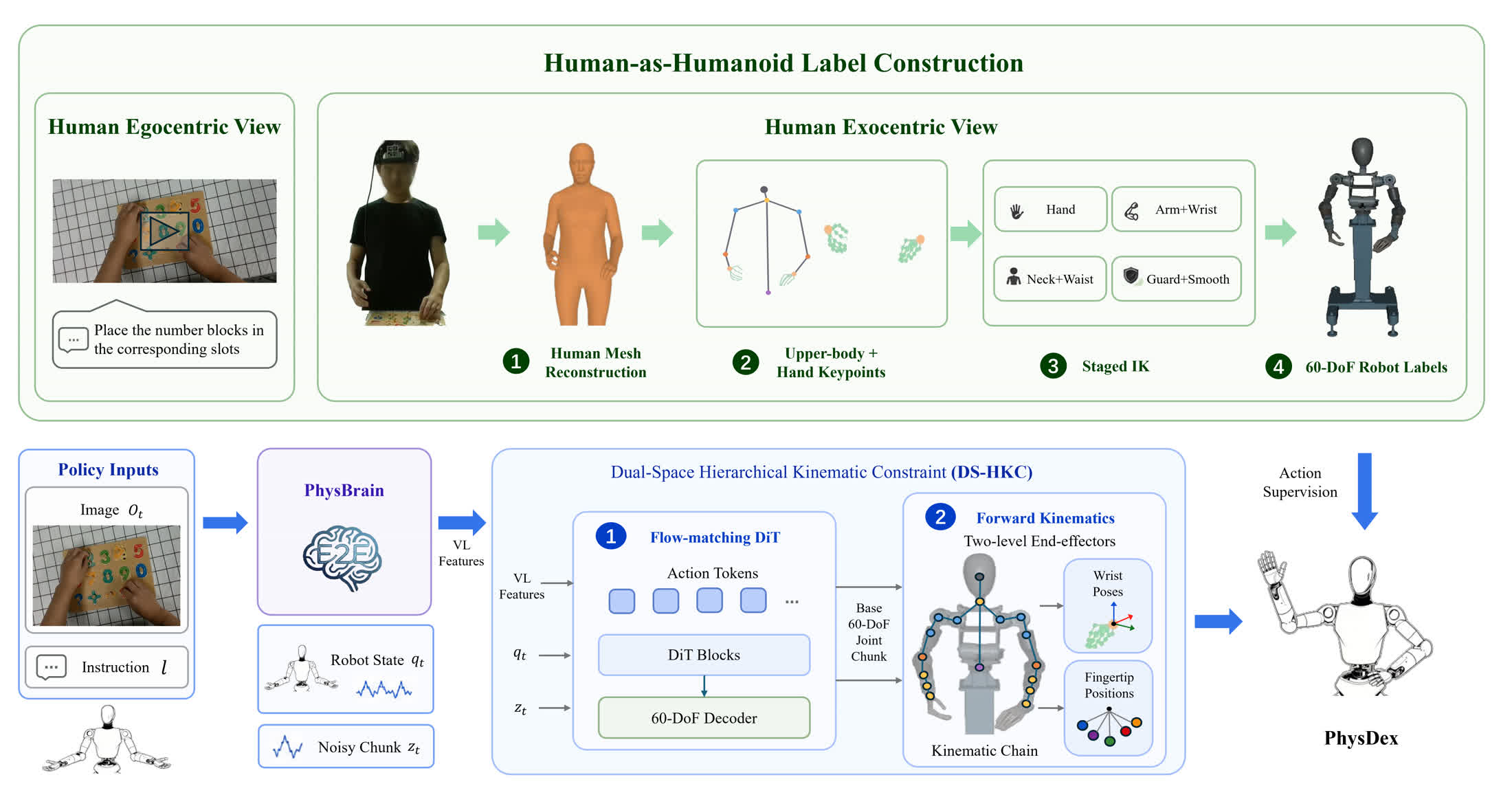 Human-as-Humanoid and PhysDex pipeline