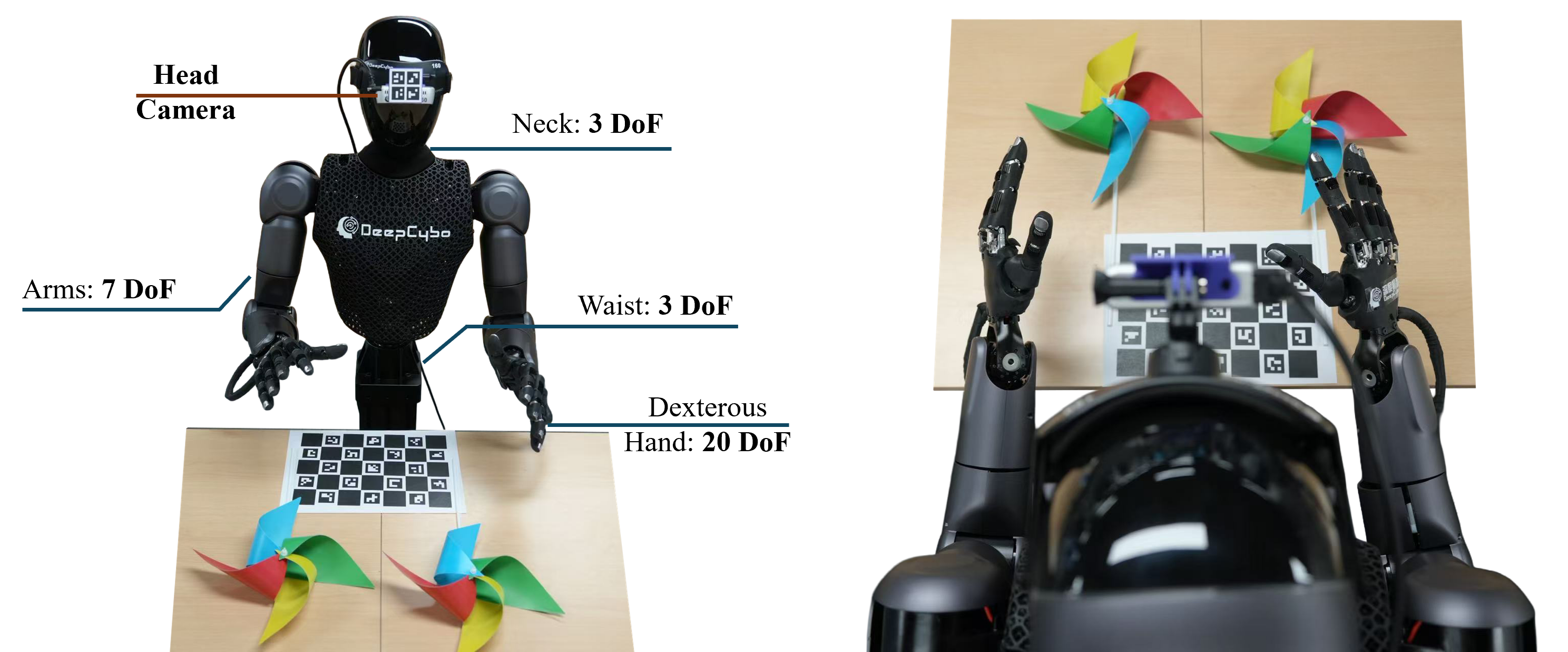 PrimeU human-aligned humanoid embodiment